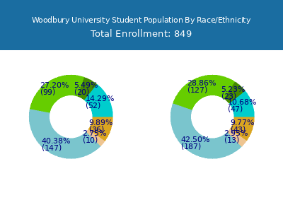 Woodbury University 2025 Student Population by Gender and Race chart