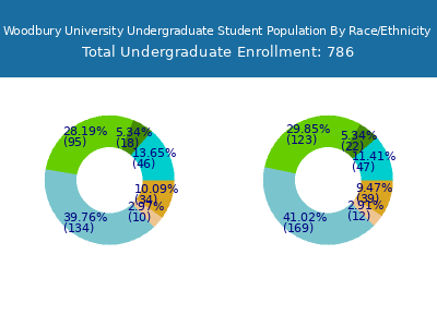Woodbury University 2025 Undergraduate Enrollment by Gender and Race chart