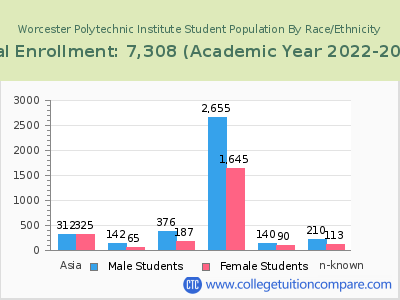 Worcester Polytechnic Institute 2023 Student Population by Gender and Race chart