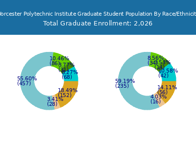 Worcester Polytechnic Institute 2025 Graduate Enrollment by Gender and Race chart