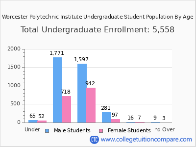 Worcester Polytechnic Institute 2025 Undergraduate Enrollment by Age chart