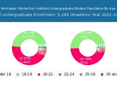 Worcester Polytechnic Institute 2023 Undergraduate Enrollment Age Diversity Pie chart