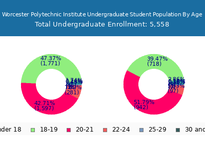Worcester Polytechnic Institute 2025 Undergraduate Enrollment Age Diversity Pie chart