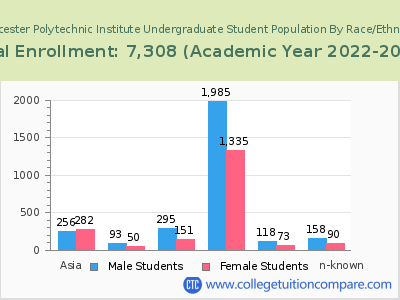Worcester Polytechnic Institute 2023 Undergraduate Enrollment by Gender and Race chart