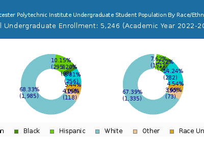 Worcester Polytechnic Institute 2023 Undergraduate Enrollment by Gender and Race chart