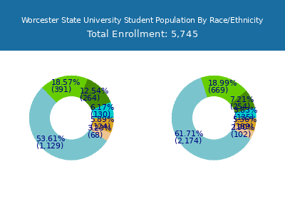 Worcester State University 2025 Student Population by Gender and Race chart