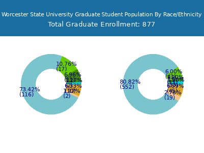 Worcester State University 2025 Graduate Enrollment by Gender and Race chart