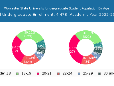 Worcester State University 2023 Undergraduate Enrollment Age Diversity Pie chart