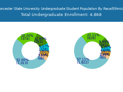 Worcester State University 2025 Undergraduate Enrollment by Gender and Race chart