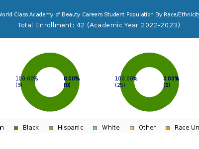 World Class Academy of Beauty Careers 2023 Student Population by Gender and Race chart
