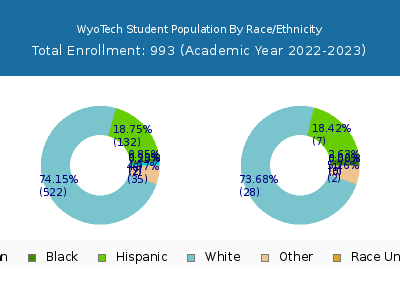 WyoTech 2023 Student Population by Gender and Race chart