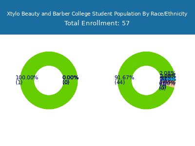Xtylo Beauty and Barber College 2025 Student Population by Gender and Race chart