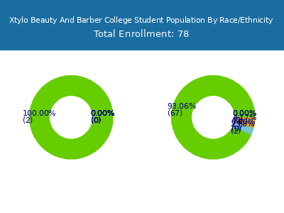 Xtylo Beauty And Barber College 2025 Student Population by Gender and Race chart
