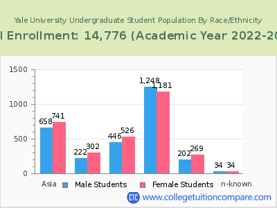 Yale University 2023 Undergraduate Enrollment by Gender and Race chart