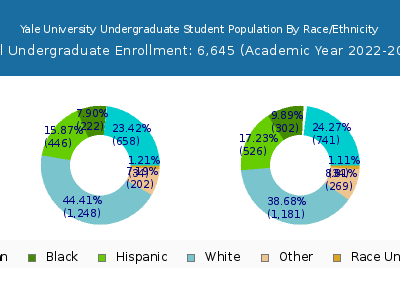 Yale University 2023 Undergraduate Enrollment by Gender and Race chart