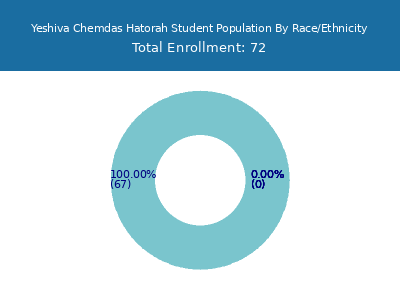 Yeshiva Chemdas Hatorah 2025 Student Population by Gender and Race chart
