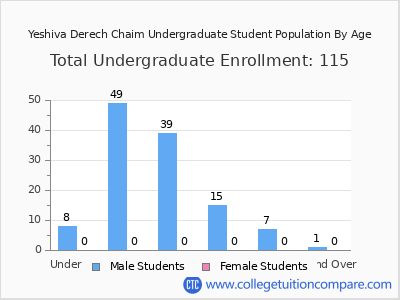 Yeshiva Derech Chaim 2024 Undergraduate Enrollment by Age chart