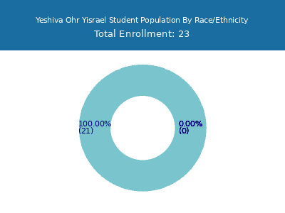 Yeshiva Ohr Yisrael 2025 Student Population by Gender and Race chart