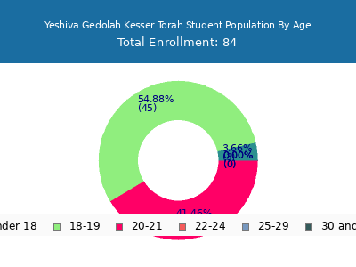 Yeshiva Gedolah Kesser Torah 2024 Student Population Age Diversity Pie chart