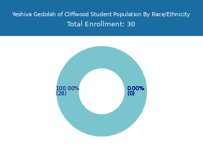 Yeshiva Gedolah of Cliffwood 2025 Student Population by Gender and Race chart