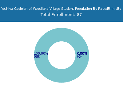Yeshiva Gedolah of Woodlake Village 2025 Student Population by Gender and Race chart