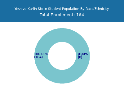 Yeshiva Karlin Stolin 2025 Student Population by Gender and Race chart