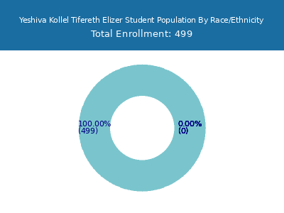 Yeshiva Kollel Tifereth Elizer 2025 Student Population by Gender and Race chart