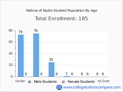 Yeshiva of Kasho 2024 Student Population by Age chart