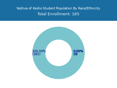 Yeshiva of Kasho 2025 Student Population by Gender and Race chart
