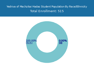 Yeshiva of Machzikai Hadas 2025 Student Population by Gender and Race chart