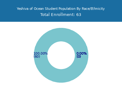 Yeshiva of Ocean 2025 Student Population by Gender and Race chart