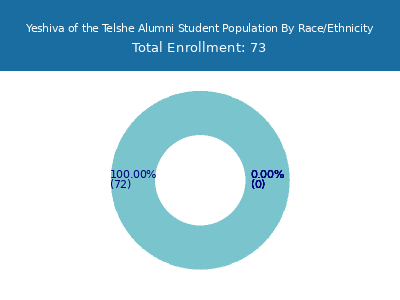 Yeshiva of the Telshe Alumni 2025 Student Population by Gender and Race chart