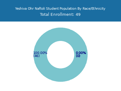 Yeshiva Ohr Naftoli 2025 Student Population by Gender and Race chart