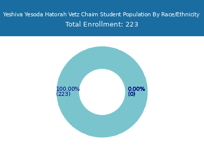 Yeshiva Yesoda Hatorah Vetz Chaim 2025 Student Population by Gender and Race chart