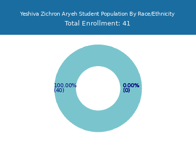 Yeshiva Zichron Aryeh 2025 Student Population by Gender and Race chart