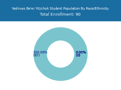 Yeshivas Be'er Yitzchok 2025 Student Population by Gender and Race chart