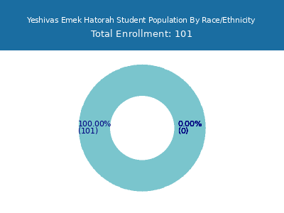 Yeshivas Emek Hatorah 2025 Student Population by Gender and Race chart