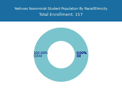 Yeshivas Novominsk 2025 Student Population by Gender and Race chart