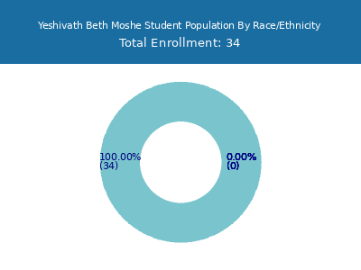 Yeshivath Beth Moshe 2025 Student Population by Gender and Race chart