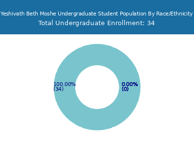Yeshivath Beth Moshe 2025 Undergraduate Enrollment by Gender and Race chart