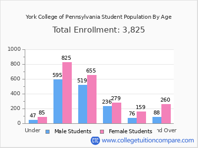 York College of Pennsylvania 2025 Student Population by Age chart