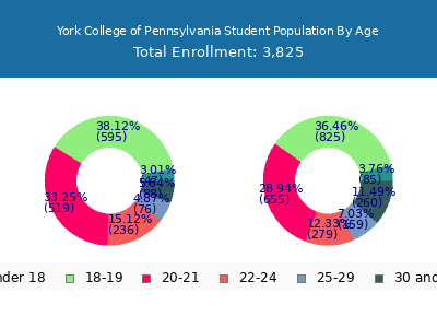 York College of Pennsylvania 2025 Student Population Age Diversity Pie chart
