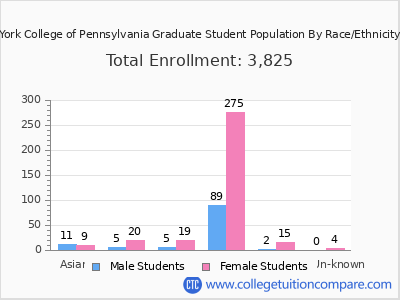 York College of Pennsylvania 2025 Graduate Enrollment by Gender and Race chart