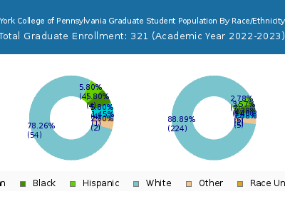 York College of Pennsylvania 2023 Graduate Enrollment by Gender and Race chart