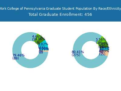 York College of Pennsylvania 2025 Graduate Enrollment by Gender and Race chart