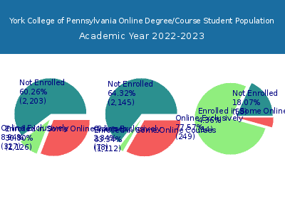 York College of Pennsylvania 2023 Online Student Population chart