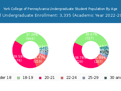 York College of Pennsylvania 2023 Undergraduate Enrollment Age Diversity Pie chart