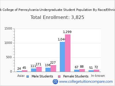 York College of Pennsylvania 2025 Undergraduate Enrollment by Gender and Race chart