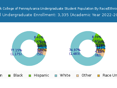 York College of Pennsylvania 2023 Undergraduate Enrollment by Gender and Race chart