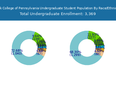 York College of Pennsylvania 2025 Undergraduate Enrollment by Gender and Race chart